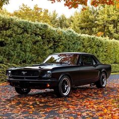 a black mustang parked in front of some trees