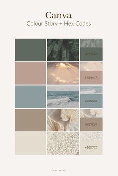 the cover of canva's color story and hex codes, which includes different colors