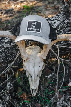 A classic trucker cap style with the Ol' Tom quality and fit you've come to expect the Ol' Tom Mesh Back Patch Cap boldly features a patch of the prominent Ol' Tom logo embossed across the front Outdoor Trucker Hat With Embroidered Patch, Gray Trucker Hat With Logo Patch, Outdoor Trucker Hat With Embroidered Patch And Curved Bill, Gray Trucker Hat With Logo Patch And Curved Bill, Outdoor Snapback Hat With Letter Patch And Curved Bill, Outdoor Snapback Hat With Curved Bill And Letter Patch, Trucker Baseball Cap With Letter Patch For Outdoor, Outdoor Trucker Hat With Logo Patch, Outdoor Trucker Baseball Cap With Letter Patch