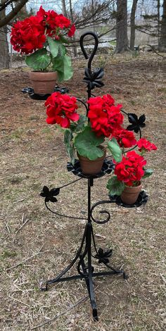 three potted red flowers are on a stand in the middle of some grass and dirt