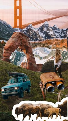 a collage of photos with animals and people in front of the golden gate bridge