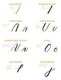 the different types of font and numbers