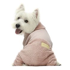 a small white dog wearing a pink jacket and sitting on the ground with its tongue out