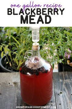 a bottle filled with liquid sitting on top of a wooden table next to potted plants