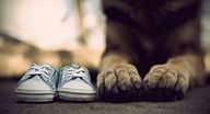 a dog's paws and shoes are shown in this article about dogs feet and baby shoes