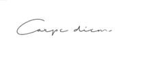 the word carpie duin written in cursive writing on a white background