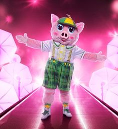 the pig is dressed in green and yellow plaid shorts