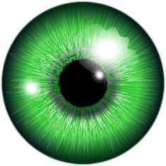 an eyeball with green iris and white background