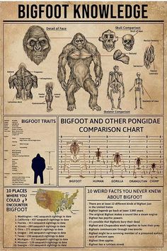 an old poster with some information about bigfoots and other things to see on it