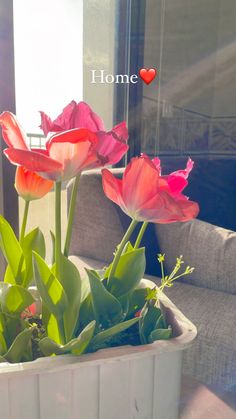 some pink flowers in a white pot on a window sill with the words home above them