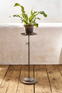 a potted plant sitting on top of a metal stand next to a bath tub