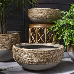 three planters with plants in them sitting on a table next to some potted plants