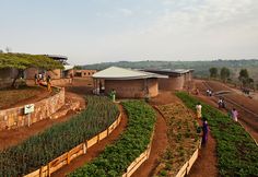 people are walking around in the dirt near some trees and buildings with green plants growing on them