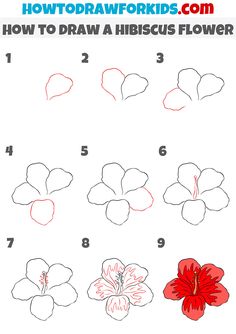 how to draw a hibiscus flower step by step instructions for kids and beginners