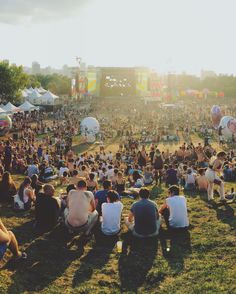 a large group of people sitting on top of a lush green field