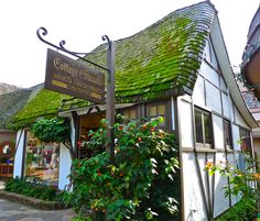 an old building with a green roof covered in moss