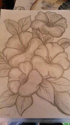 a drawing of some flowers on a piece of paper