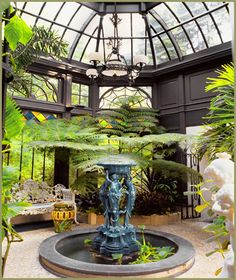 the inside of a building with plants in it and a fountain surrounded by potted plants