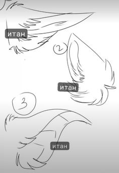 an image of different types of hair in the same drawing style as well as how to draw it