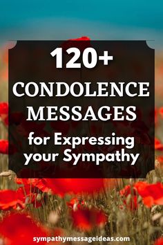 red flowers with the words,'120 condence messages for expressing your sympathy '