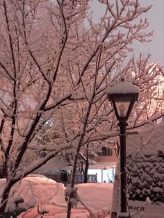 a street light covered in snow next to trees