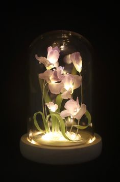 some flowers are in a glass dome with lights