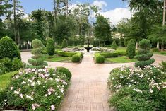 a garden with lots of bushes and flowers on the side of it's walkway