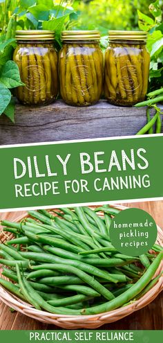 green beans in jars with the words dilly beans recipe for canning