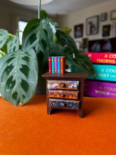 a small wooden table with books on it and a potted plant in the background