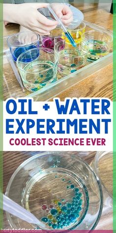 oil and water experiment cools science ever