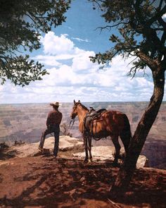 a man standing next to a brown horse on top of a cliff near a tree