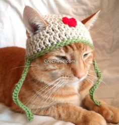 an orange cat wearing a crocheted hat with a red heart on it's forehead