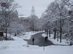 two people walking down a snow covered street in front of a building with a clock tower