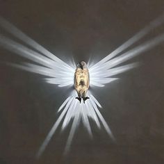 a bird with white wings is flying through the air and has light beams coming from its back