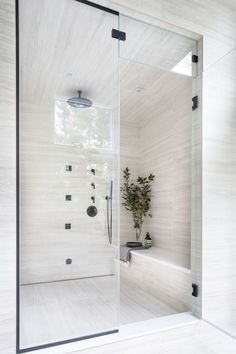 a bathroom with a glass shower door and a plant in the corner next to it