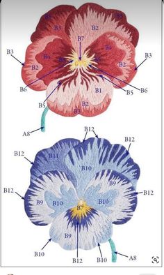 an image of flowers labeled in different colors