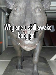 a statue of a pig with the words why are u still awake baby grill?