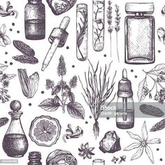 hand drawn herbs and bottles stock illustration