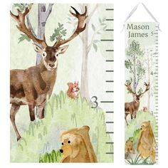 a growth chart with an image of a deer, bear and cub in the woods