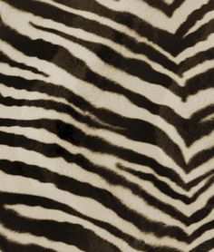 an animal's skin is shown in black and white colors, with stripes on it