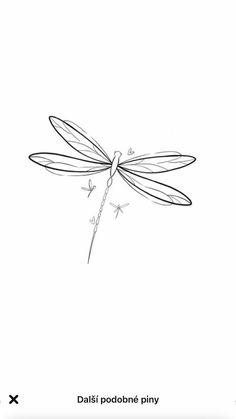 a black and white drawing of a dragonfly