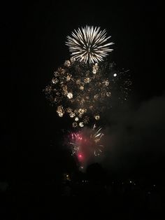 fireworks are lit up in the night sky