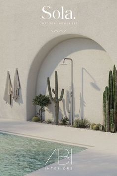 an outdoor shower with cactus and succulents next to it