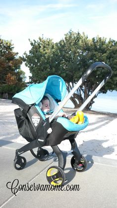 a baby in a blue stroller on the sidewalk next to some trees and water