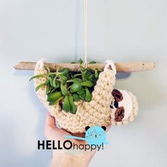 a hand holding a plant in a crocheted pot holder with succulents