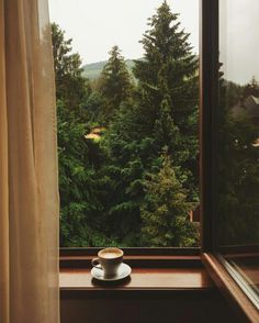 a cup of coffee sitting on top of a window sill in front of a forest