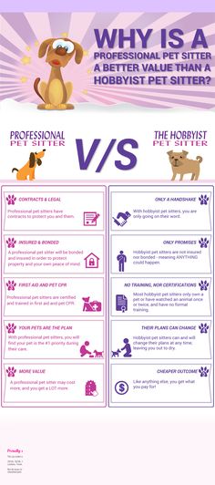 an info sheet with different types of dogs and cats on it, including the words whysa