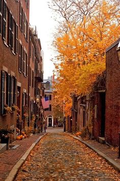 a cobblestone street lined with brick buildings and autumn leaves on the ground in front of them