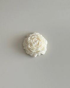 a small white flower sitting on top of a table