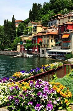 colorful flowers are growing in front of the water and houses on the hillside behind them